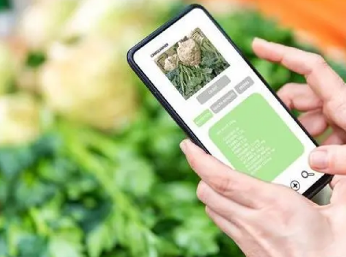 防偽標(biāo)簽定制服務(wù)，讓您的品牌更出眾